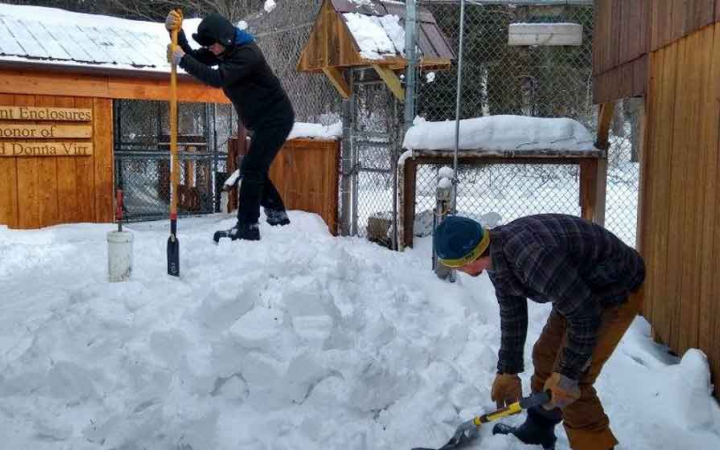 service day for adults